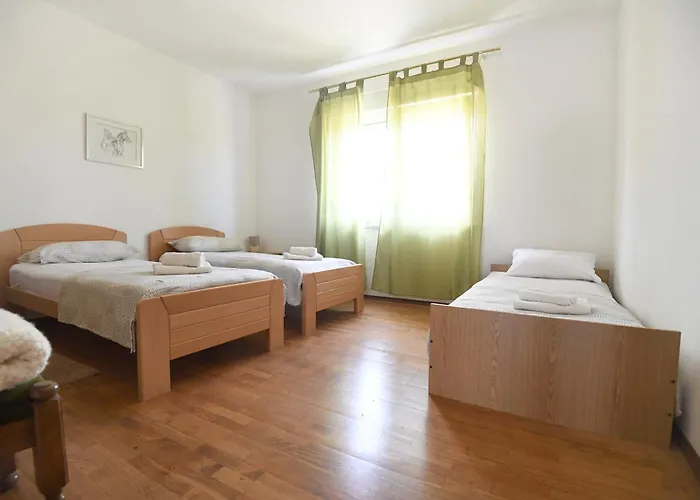 Maslina Vikendica Prkos